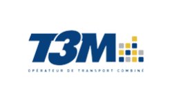 T3M
